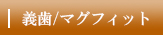 義歯/マグフィット