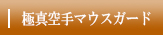 極真空手マウスガード